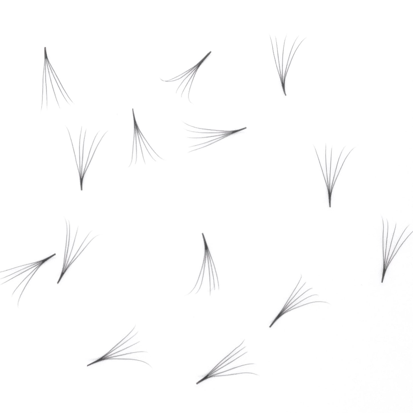 5D Pro-made volume 1000 loose fans (0.07mm) Pointy base