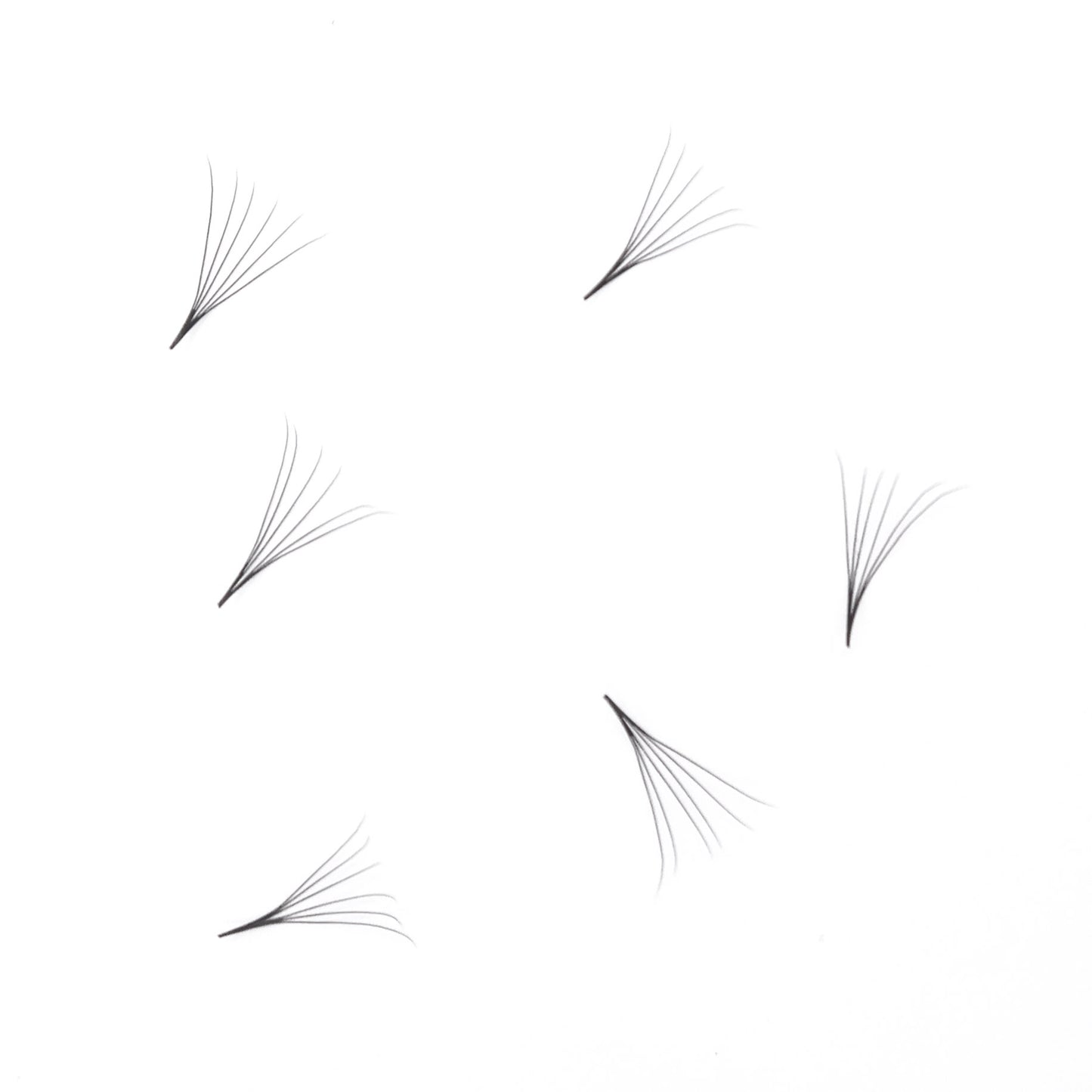6D Pro-made volume 1000 loose fans (0.07mm) Pointy base