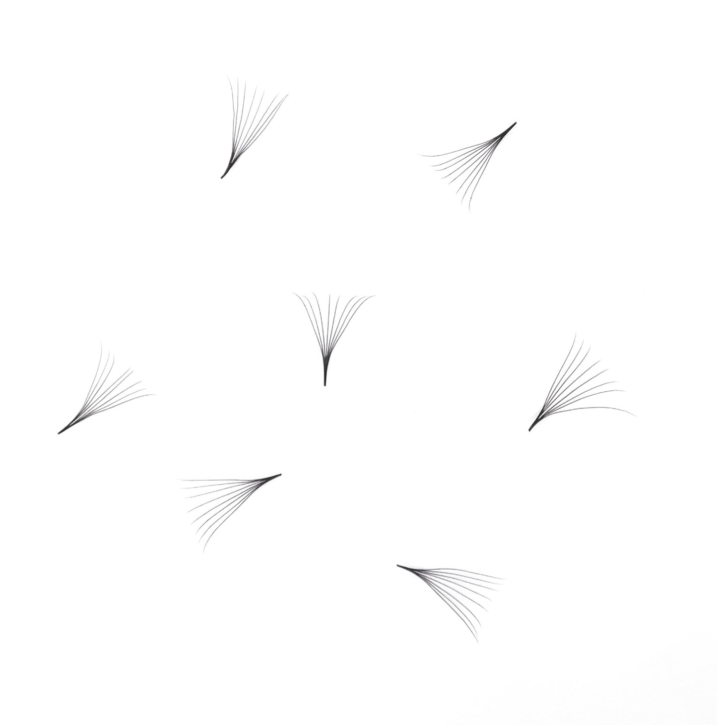 8D Pro-made volume 1000 loose fans (0.05mm) Pointy base