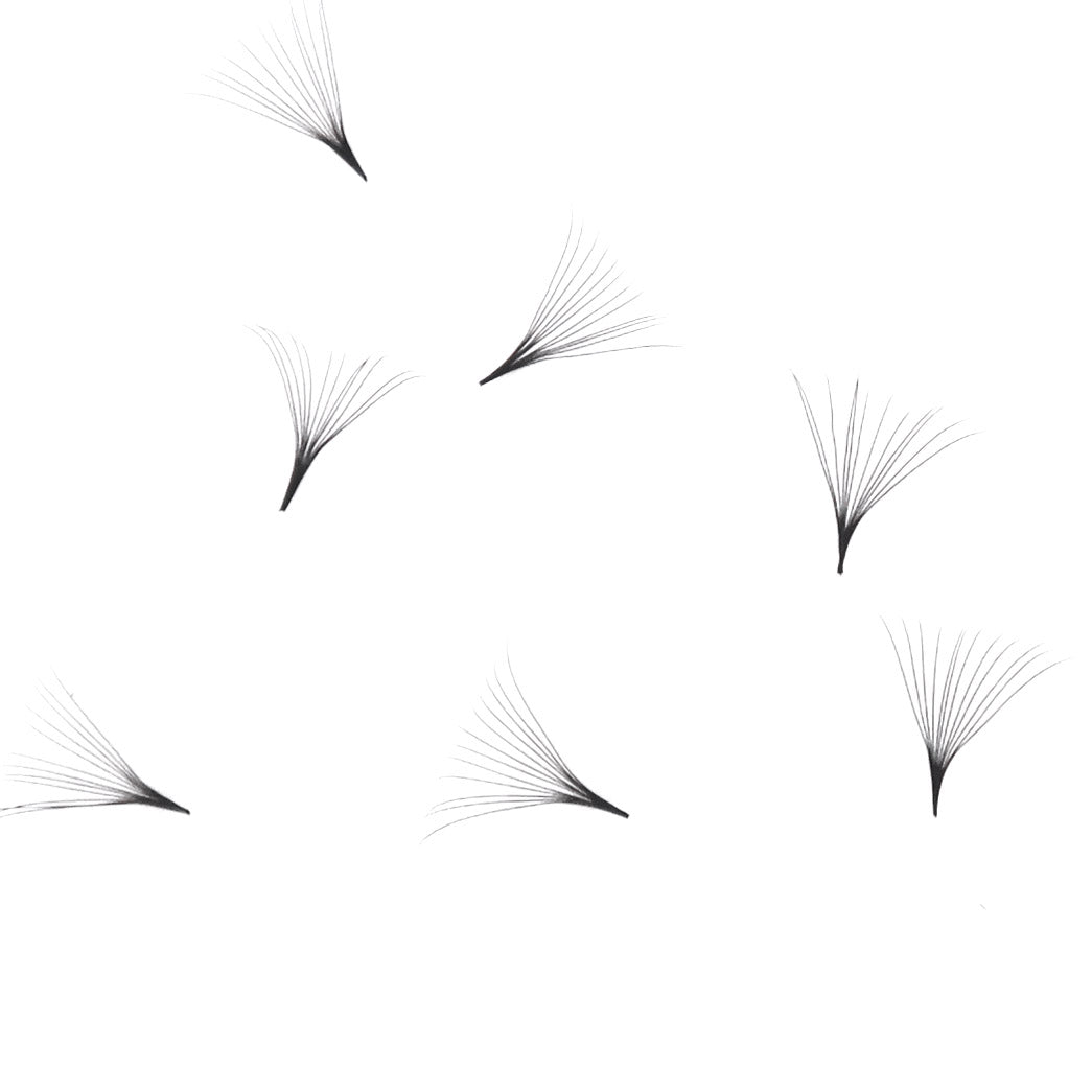 12D Pro-made volume 1000 loose fans (0.05mm) Pointy base