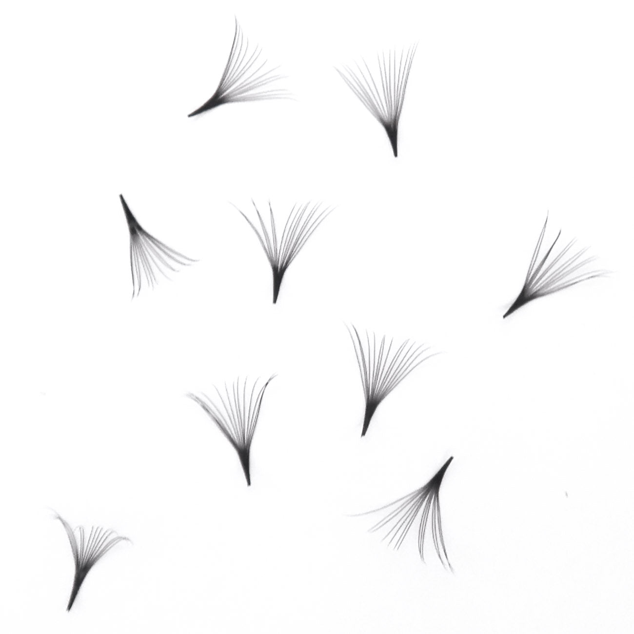 14D Pro-made volume 1000 loose fans (0.05mm) Pointy base